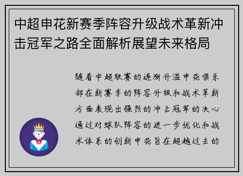 中超申花新赛季阵容升级战术革新冲击冠军之路全面解析展望未来格局